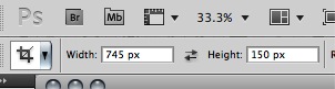 closeup screen shot of image adjustment options. Size is set at 745 by 150 pixels.